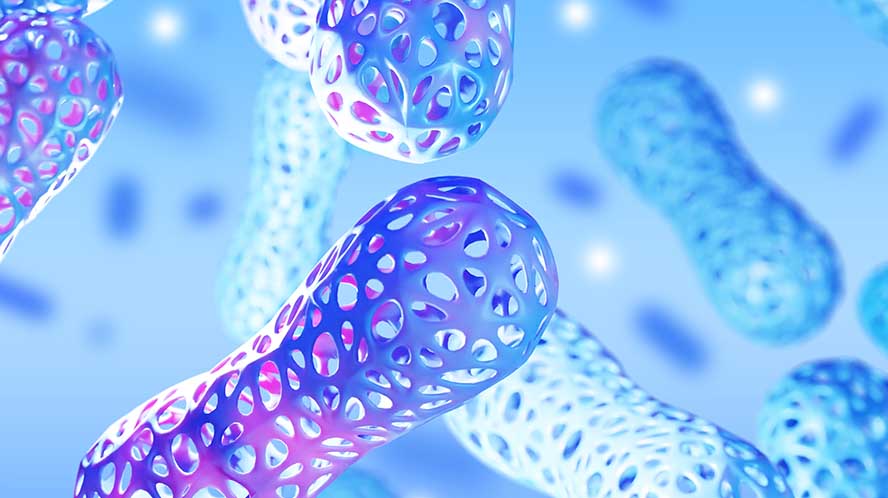 Can Fermentation Unlock the Future of Food?