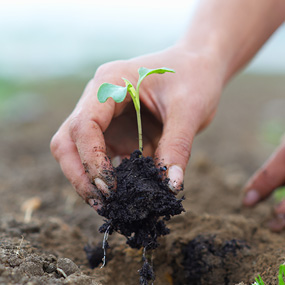2013-2014 | Dedication to Sustainability